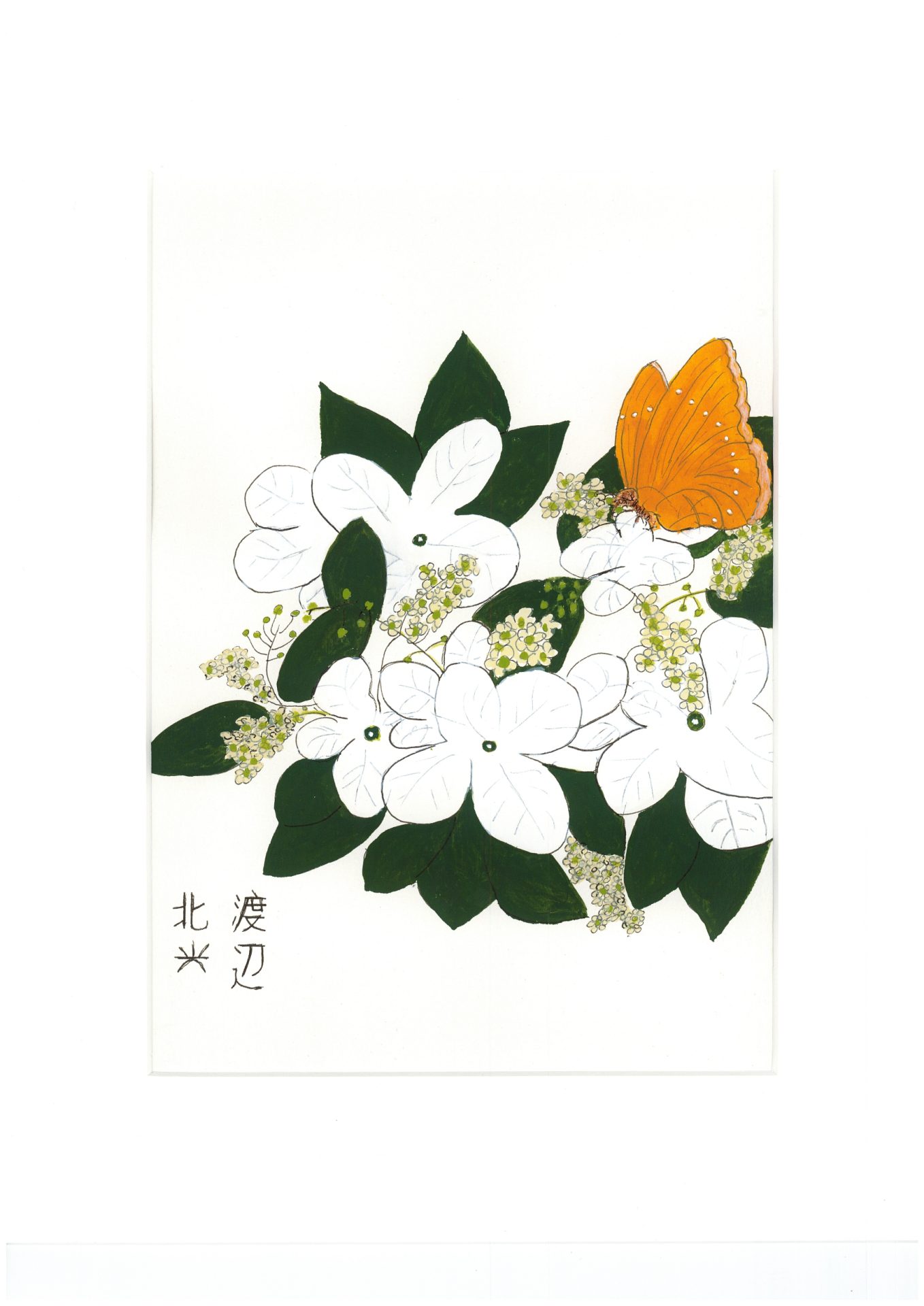 Je bekijkt nu Openingsvideo door Menno Swart