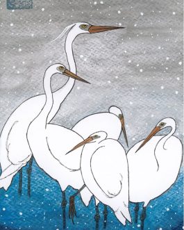 Vijf Zilverreigers in de sneeuw