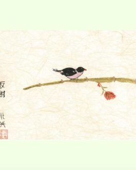 Vogel met de rode bloem