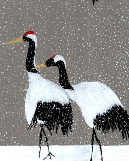 Kraanvogels in de winter