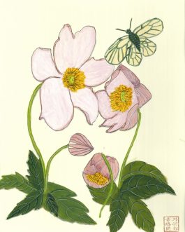 Japanse anemoon met Idea Leuconoe vlinder