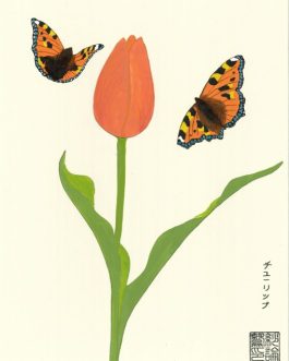 Oranje tulp met kleine vos