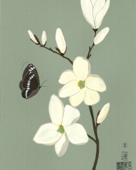 Magnolia met kleine ijsvogelvlinder