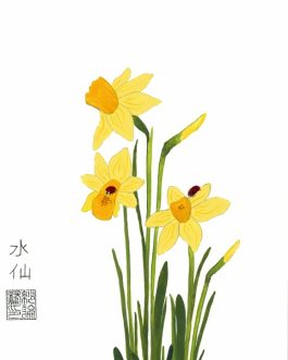 Narcis met lieveheersbeestje