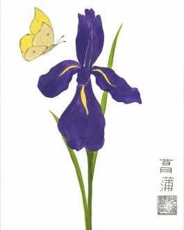 Paarse iris met citroenvlinder