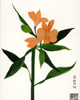 Alstroemeria