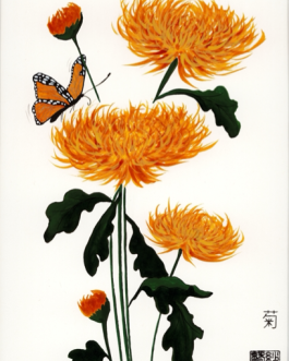 Chrysant met monarchvlinder